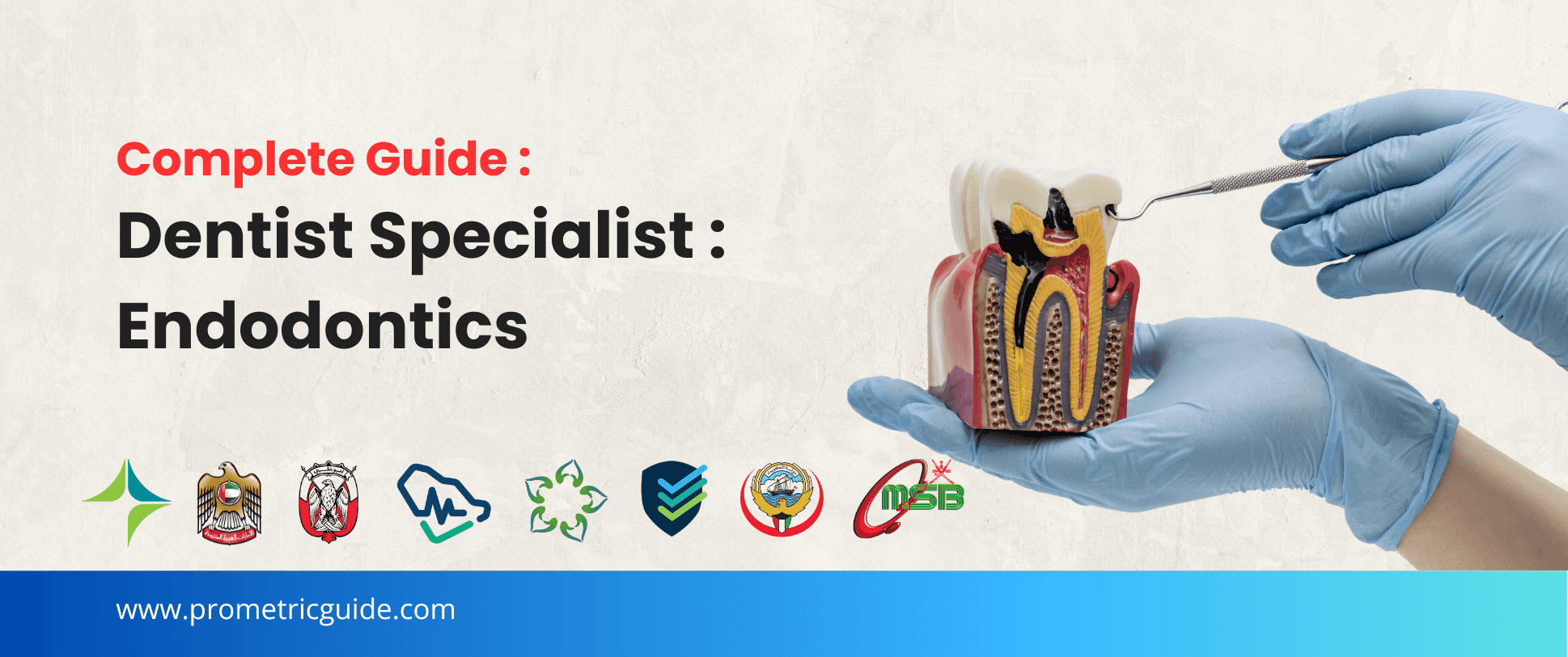 Specialist Endodontics Prometric & Licensing Exam 2026: Complete Syllabus, Passing Marks and Study Guide (DHA, MOHAP, DOH, SCFHS, Oman, Qatar DHP, NHRA, Kuwait MOH)